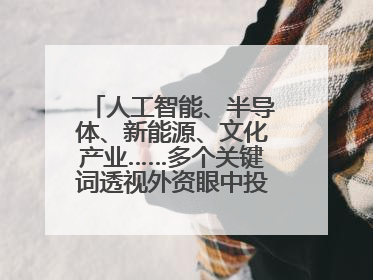 人工智能、半导体、新能源、文化产业……多个关键词透视外资眼中投资中国的新机遇